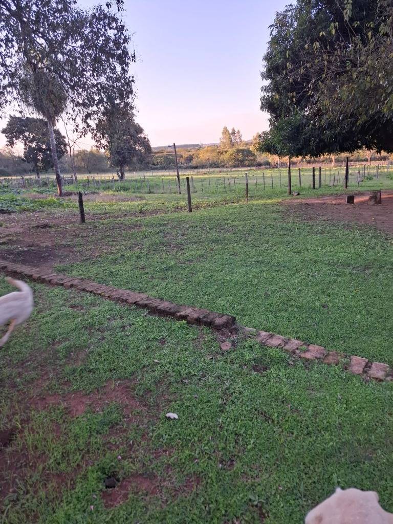 VENTA - Propiedad rural 56 ha sobre Río Manduvirá - Arroyos y Esteros — foto 3