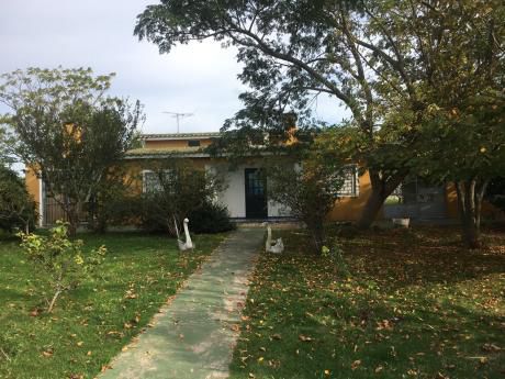 Venta De Chacra En San Jacinto !!