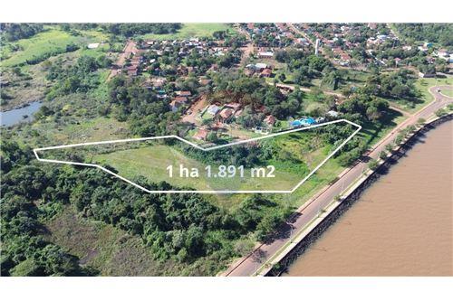 Vendo Terreno 11,891 M2 sobre la Costanera de Encarnación — foto 3