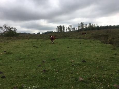 Venta De Campo En Minas !! Oferta !!!