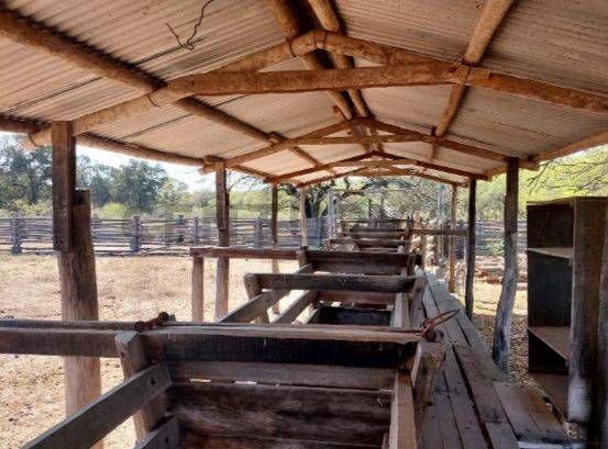 VENTA DE ESTANCIA – CHACO PARAGUAYO — foto 2