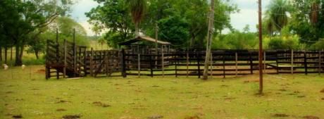 Atencion Inversores Agro Ganaderos