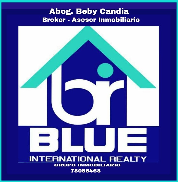 BLUE  realty internacional 