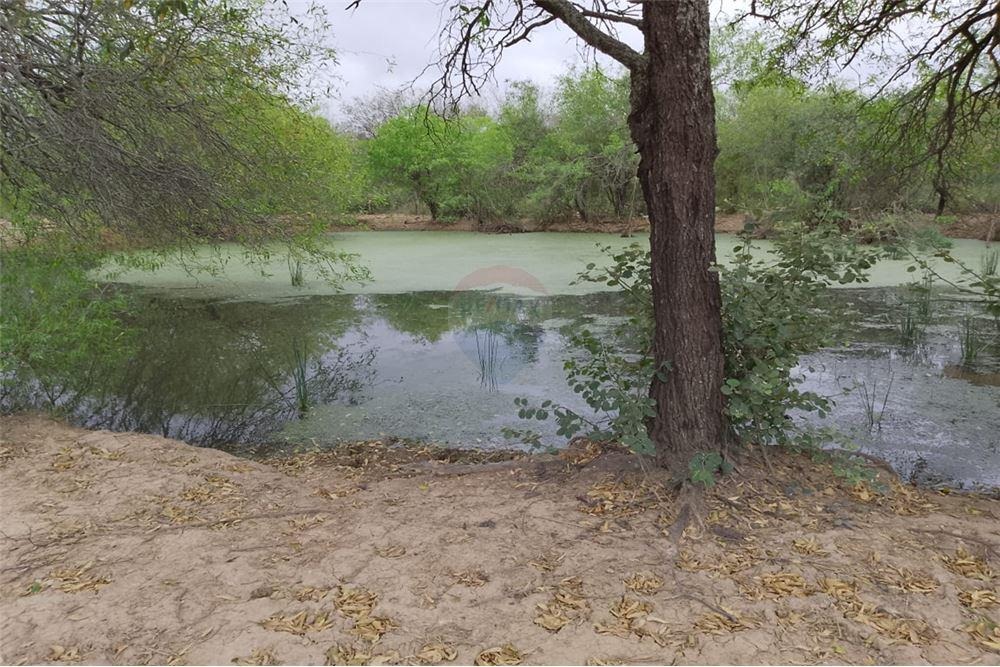 VENDO CAMPO EN TENIENTE ESTEBAN MARTINEZ 184 HECTAREAS — foto 2