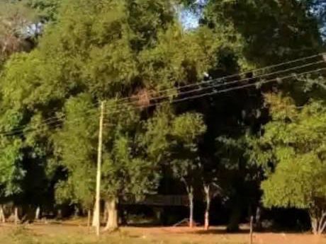 Se Venden 5 Terrenos Juntos De 2.040 M2.