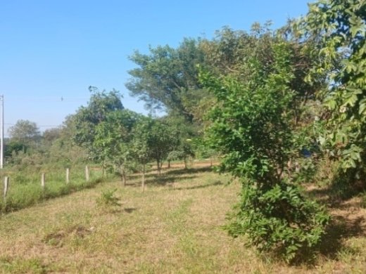 Vendo Terreno En Barrio Loma Guazú Caacupé — foto 2