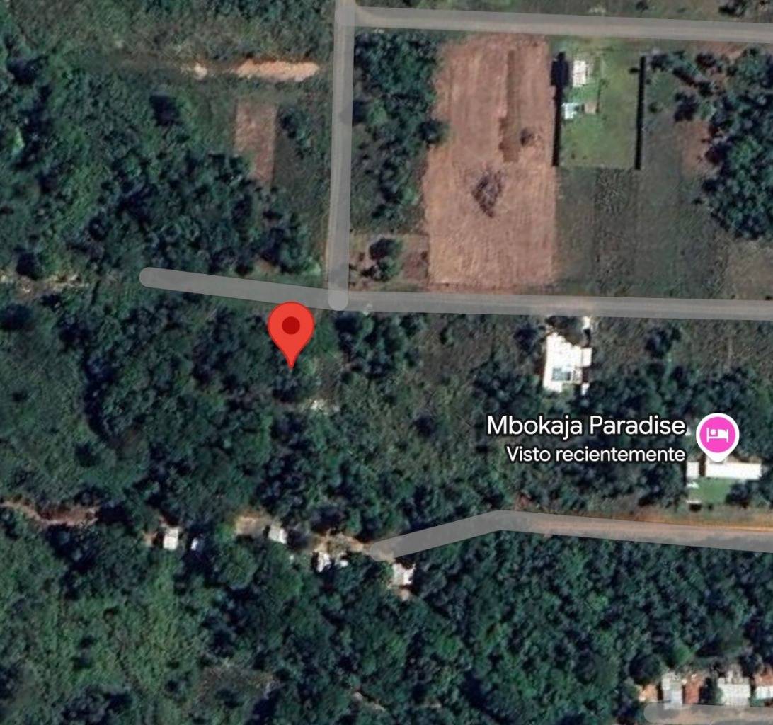 Vendo amplio  terreno de 3019 m² con frondosa vegetación — foto 3