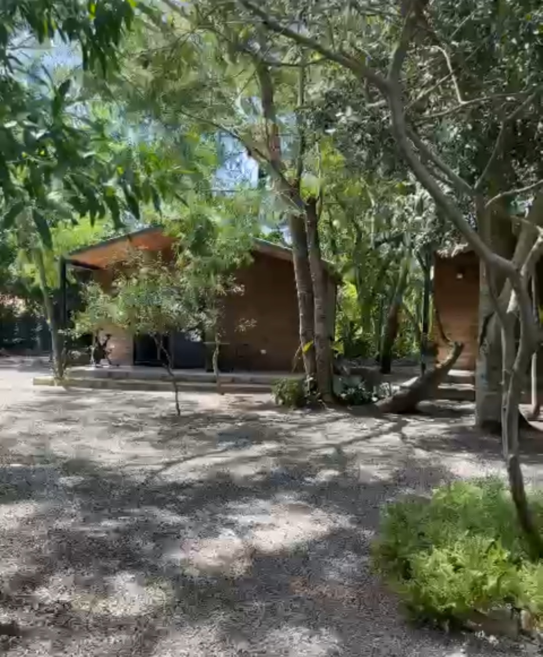 MARAVILLOSA QUINTA EN VENTA!!!INVERSIÓN SEGURA!!! — foto 3