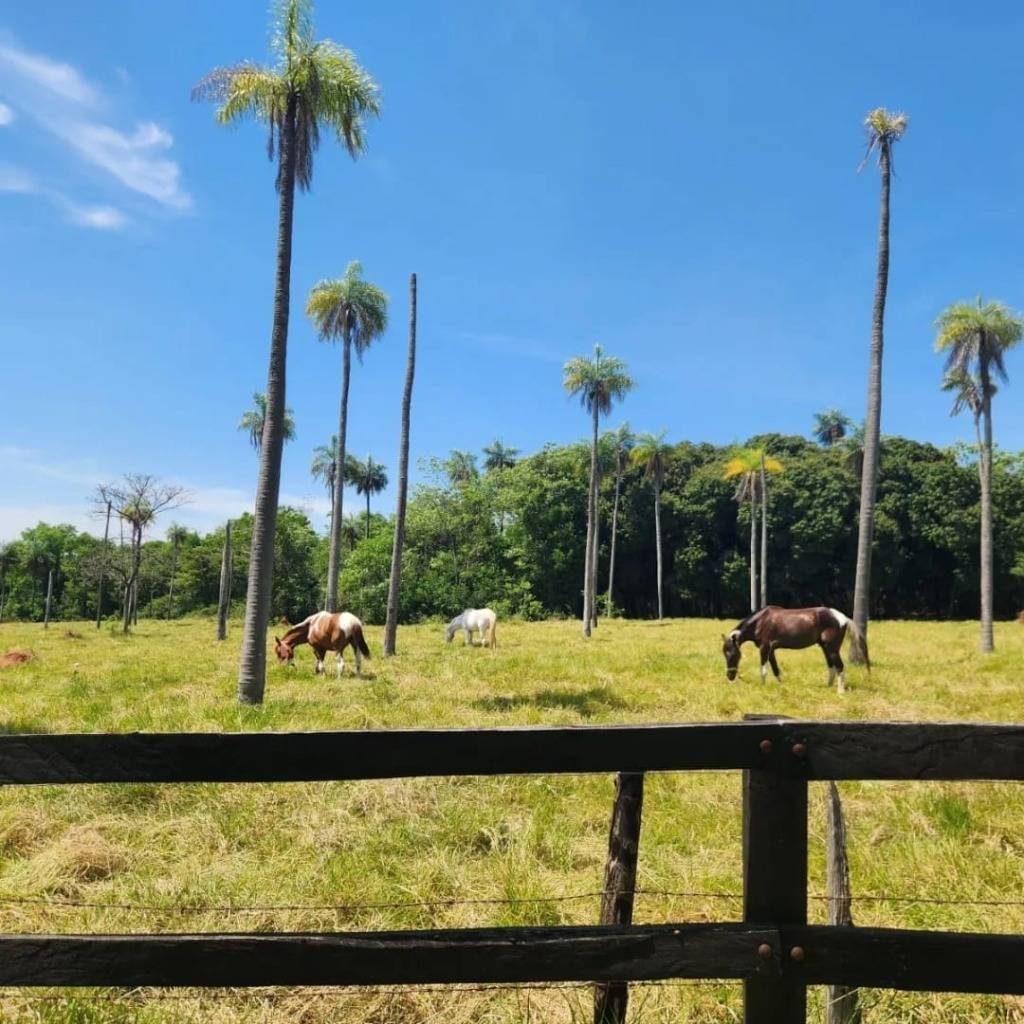 Terrenos en Atyra Finca las Rocas — foto 2