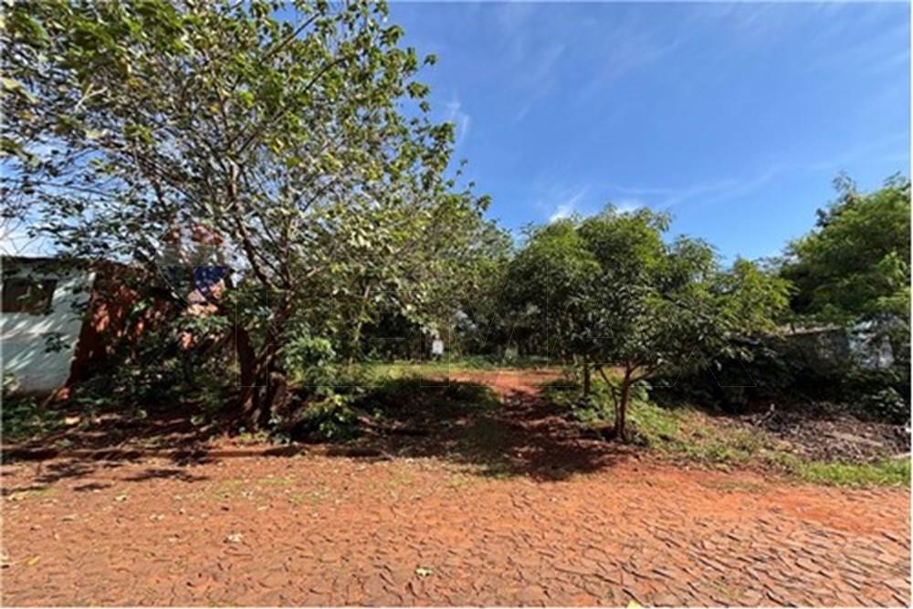 VENDO EN PTE. FRANCO 2 TERRENOS JUNTOS — foto 3