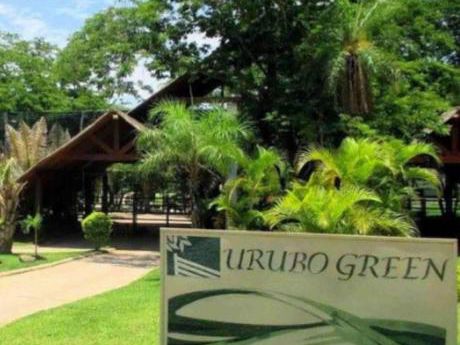 Lote En Venta