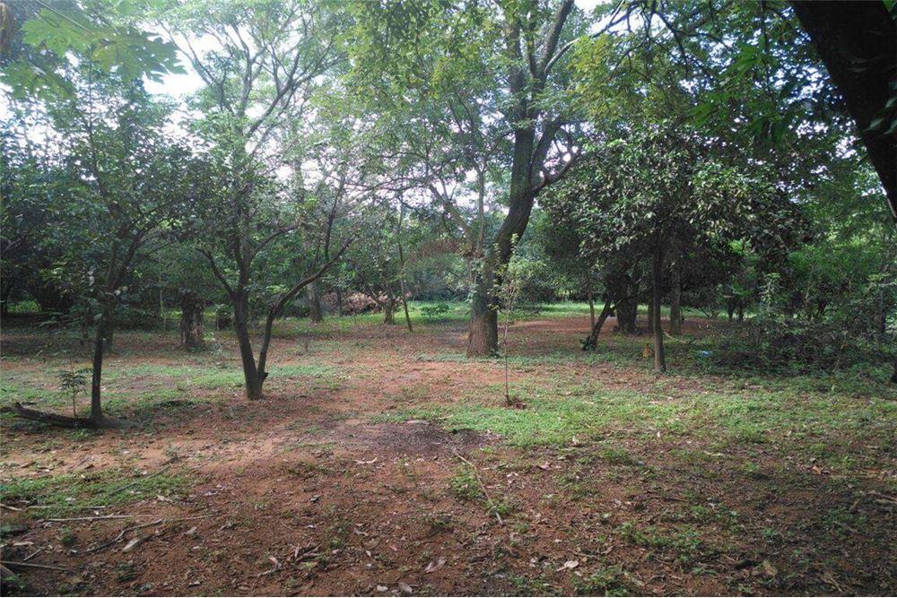 Terreno - Venta - Paraguay Central Limpio — foto 2