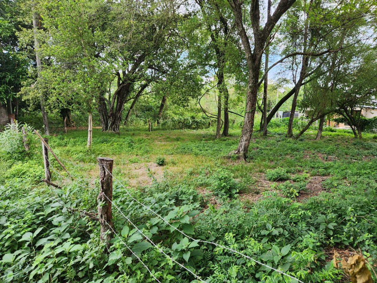 2 terrenos en venta en San Bernardino — foto 3