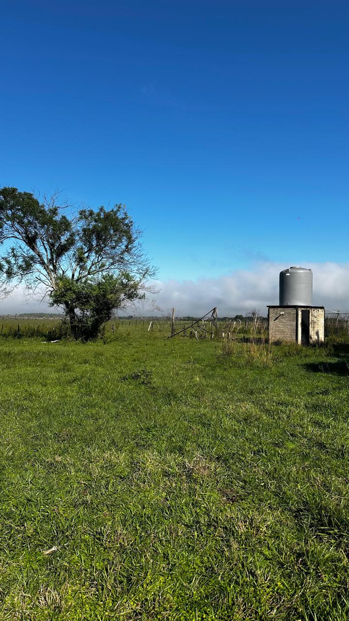 EN VENTA CAMPO DE 50 HECTAREAS ????ARROYOS Y ESTEROS — foto 3