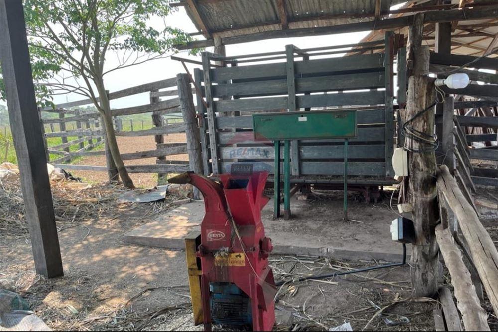 PROPIEDAD RURAL, CAMPO TOBATÍ — foto 3