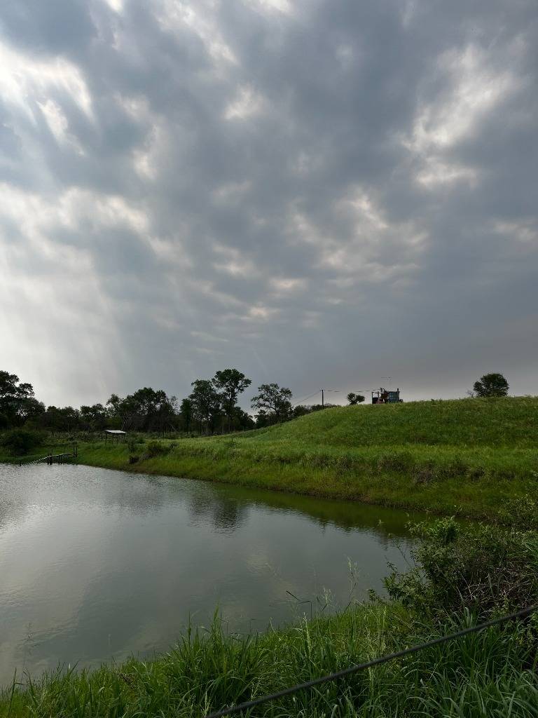 En venta estancia formada y en producción de 554HA en General Bruguez-Chaco — foto 2