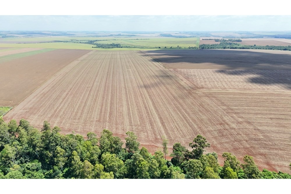 Terreno de 78,9 hectáreas en Santa Rita – Alto Paraná — foto 3