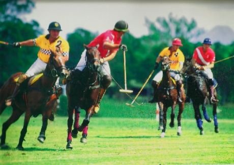 Exclusivo Condominio Polo Country