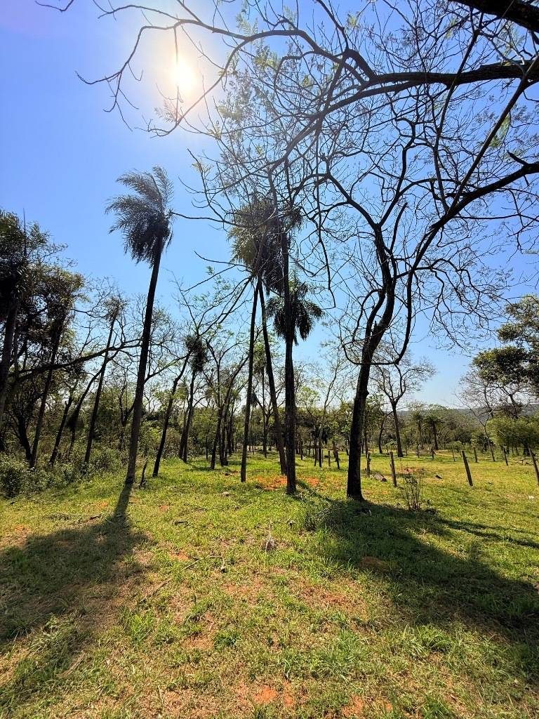 EN VENTA AMPLIO TERRENO EN SAN BERNARDINO ZONA CIERVO CUA — foto 3