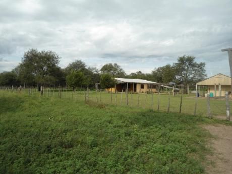 Vendo Campo De 3.500 Has - Chaco Paraguayo