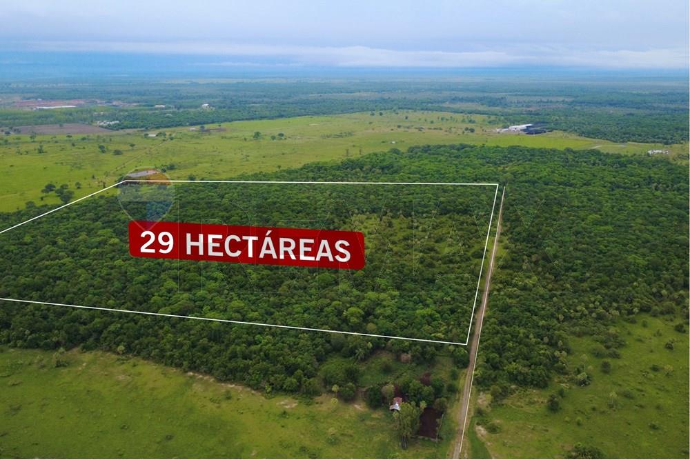 VENDO 29 HECTAREAS EN VILLA HAYES — foto 2