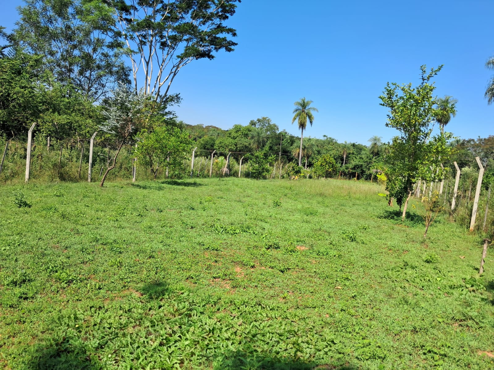 Vendo amplio  terreno de 2.775 m2 en Yaguarón ideal para casa quinta — foto 3