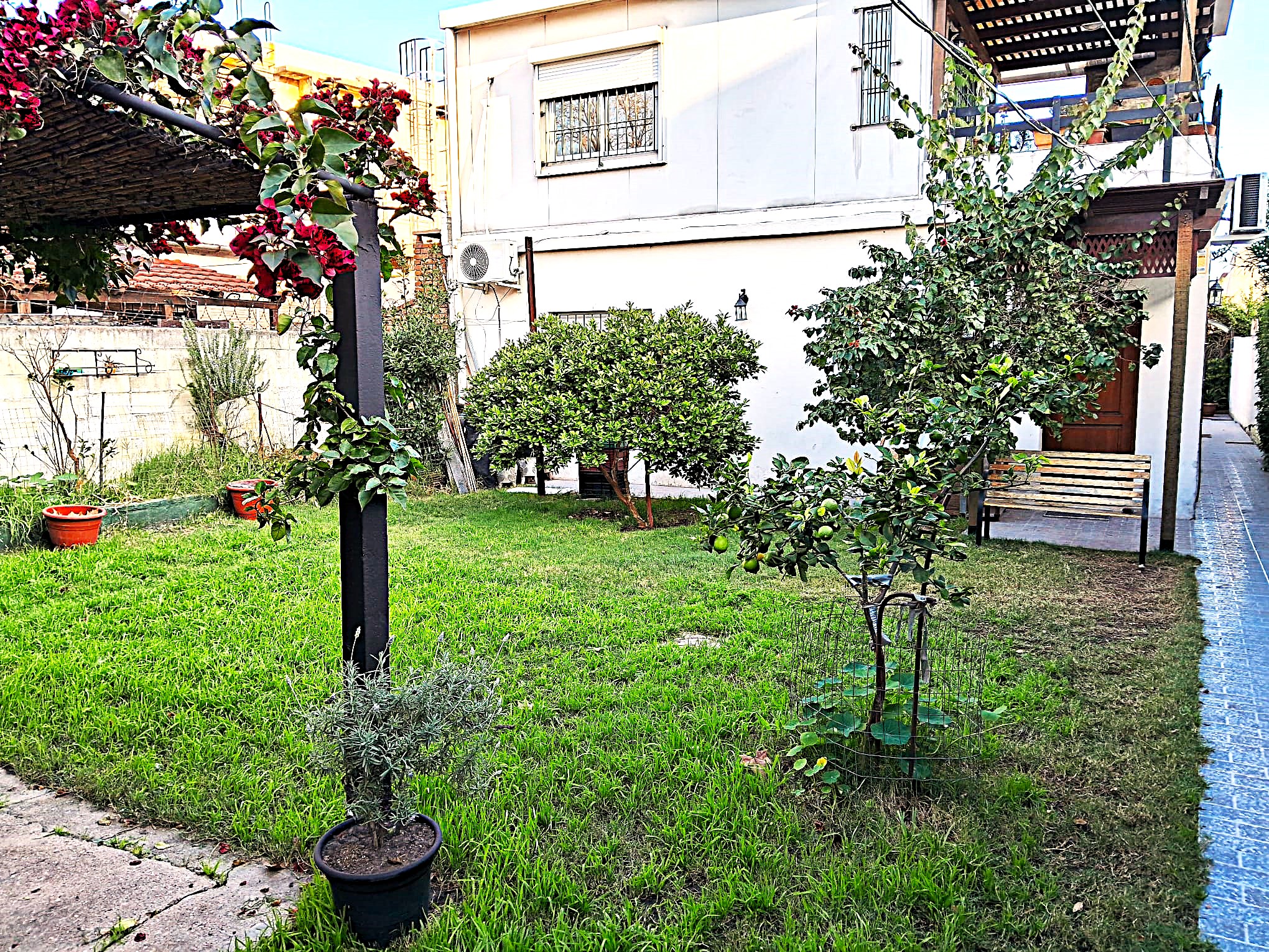 Casa En El Mejor Punto De  Belvedere