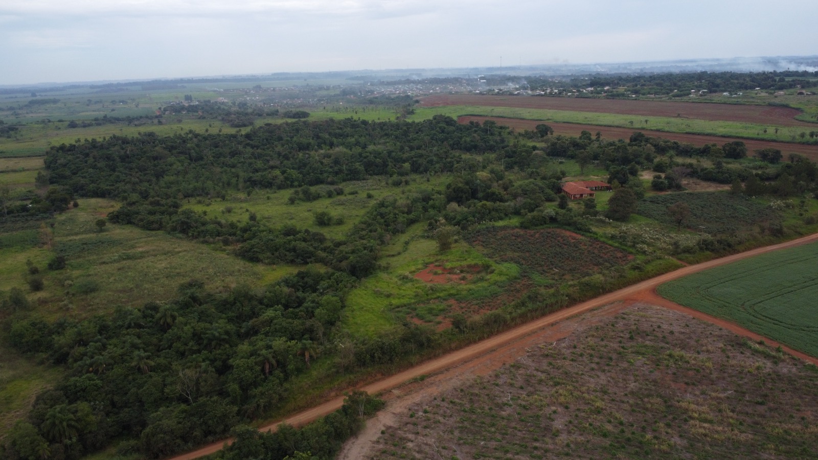 VENDO 40 HECTAREAS EN MINGA GUAZU  KM 28 ALTO PARANÁ — foto 2