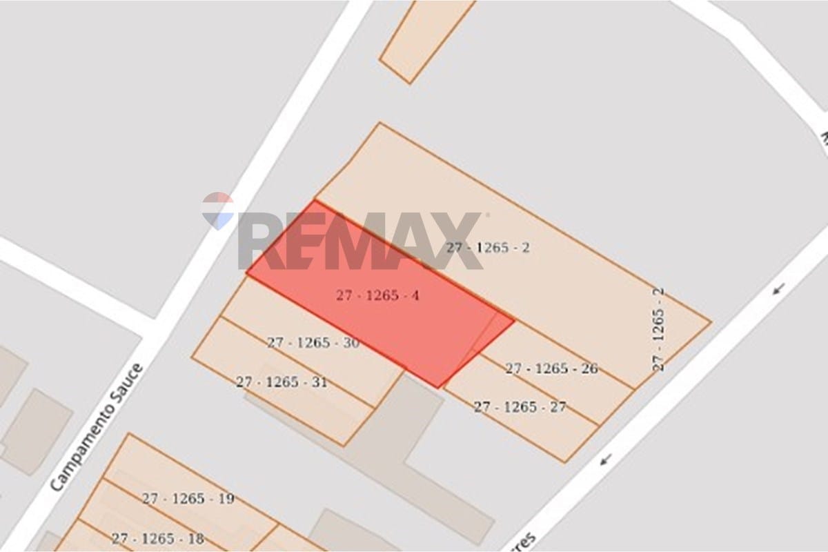 TERRENO-VENTA-FERNANDO DE LA MORA-CENTRAL — foto 3