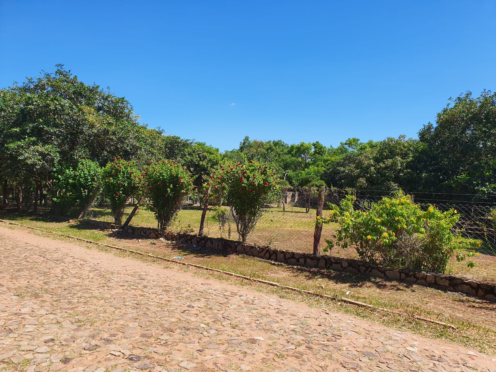 LOMA GRANDE: Exclusivo Terreno de 1.518 m² con Potencial Ilimitado. — foto 2