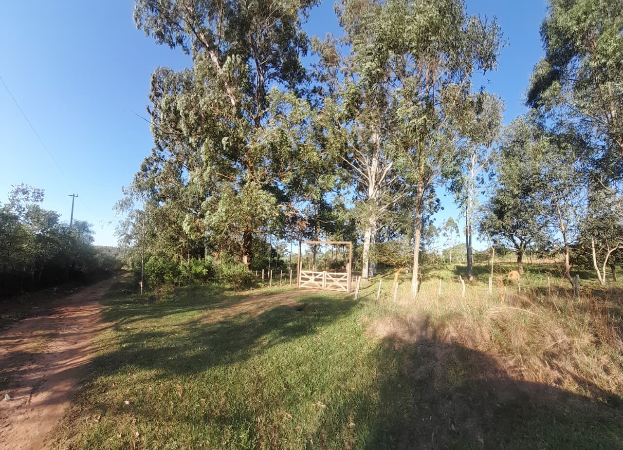 Terreno en Piribebuy — foto 3
