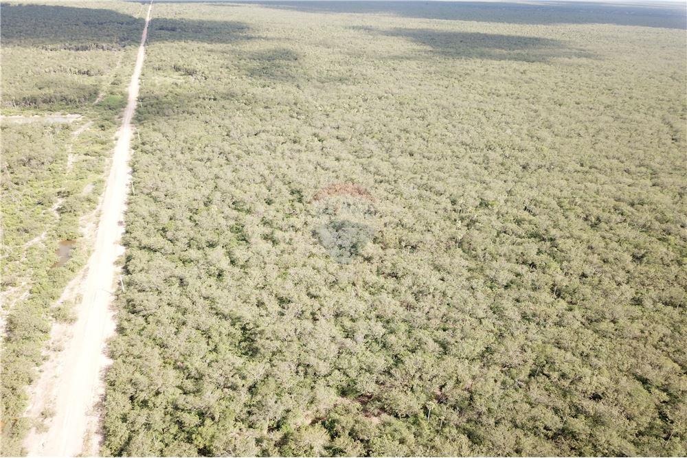 VENDO CAMPO EN TENIENTE ESTEBAN MARTINEZ 184 HECTAREAS — foto 3