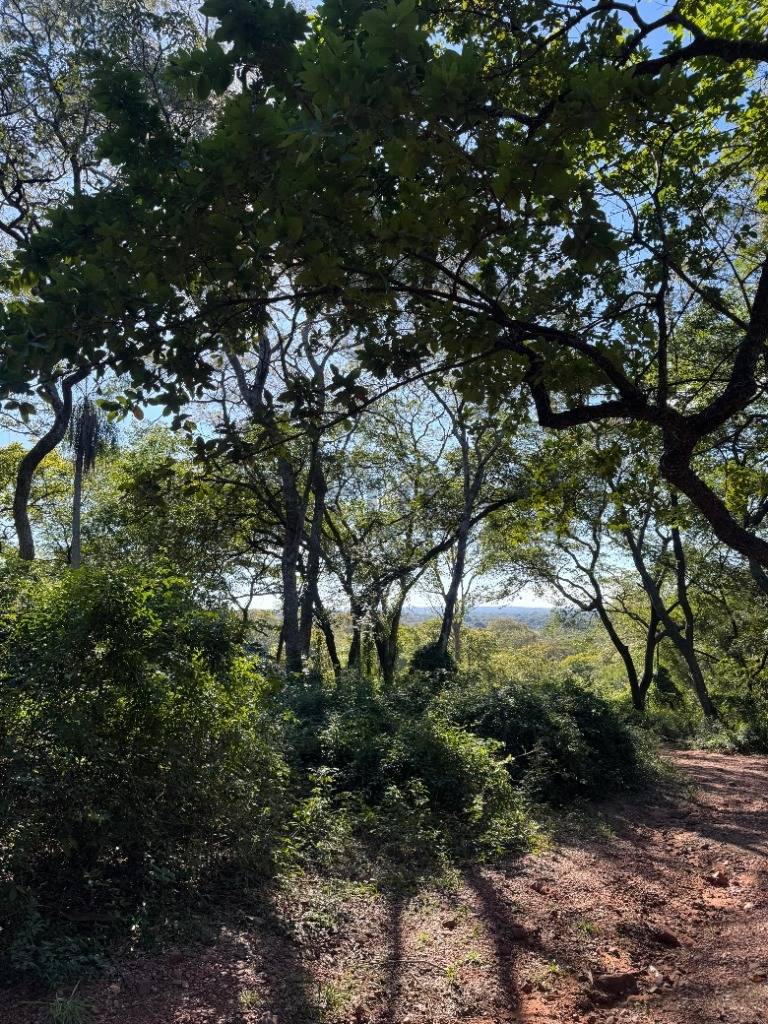 Oportunidad Única en Bosques de Hermann- Areguá — foto 2