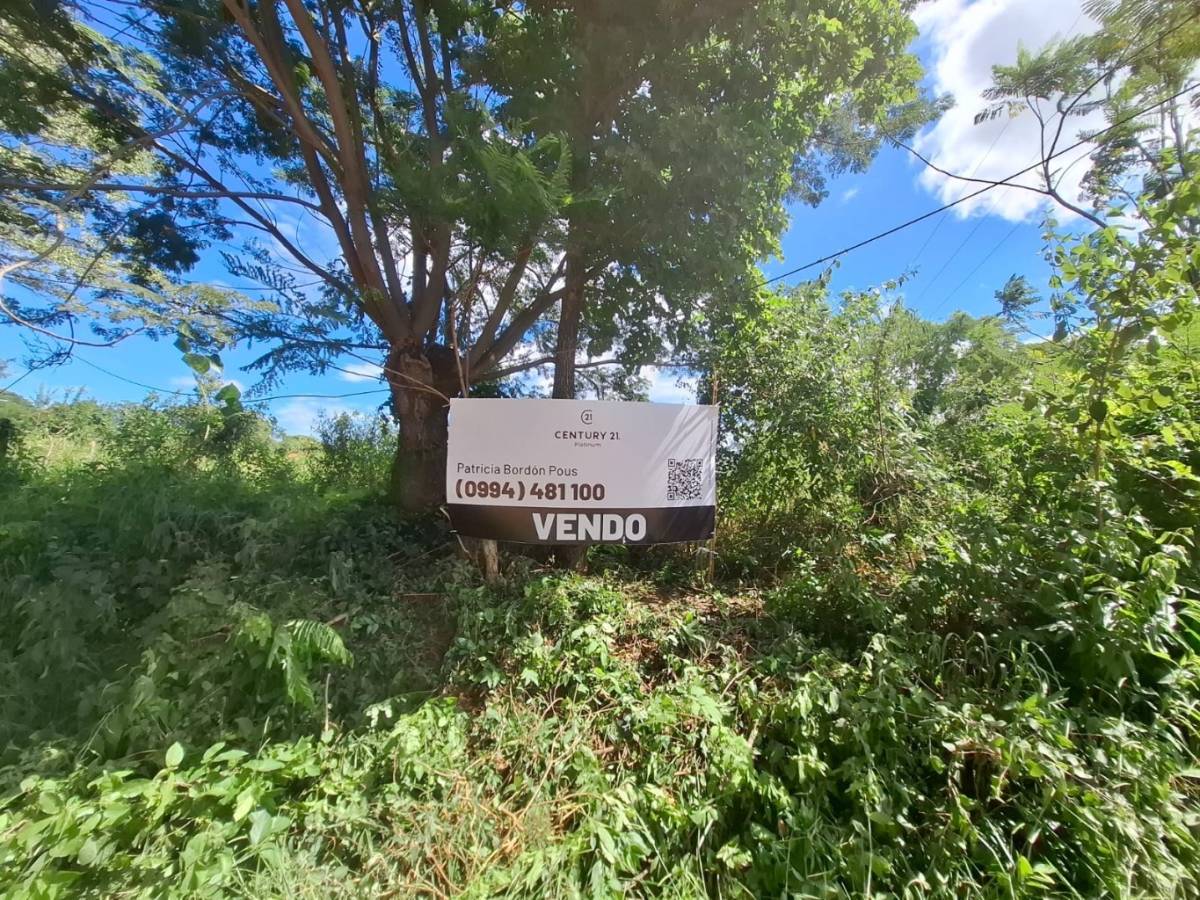 VENDO Terreno 15079 m2 - Yaguaron, Paraguari — foto 2