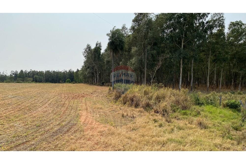 Estancia Campo Venta Simón Bolívar Caaguazu Paraguay — foto 3