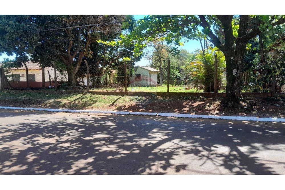 Vendo Amplio Terreno De Calle A Calle Camino A Cedrales — foto 2