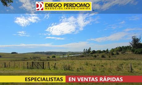 Chacra En Venta, 5 Has - San José