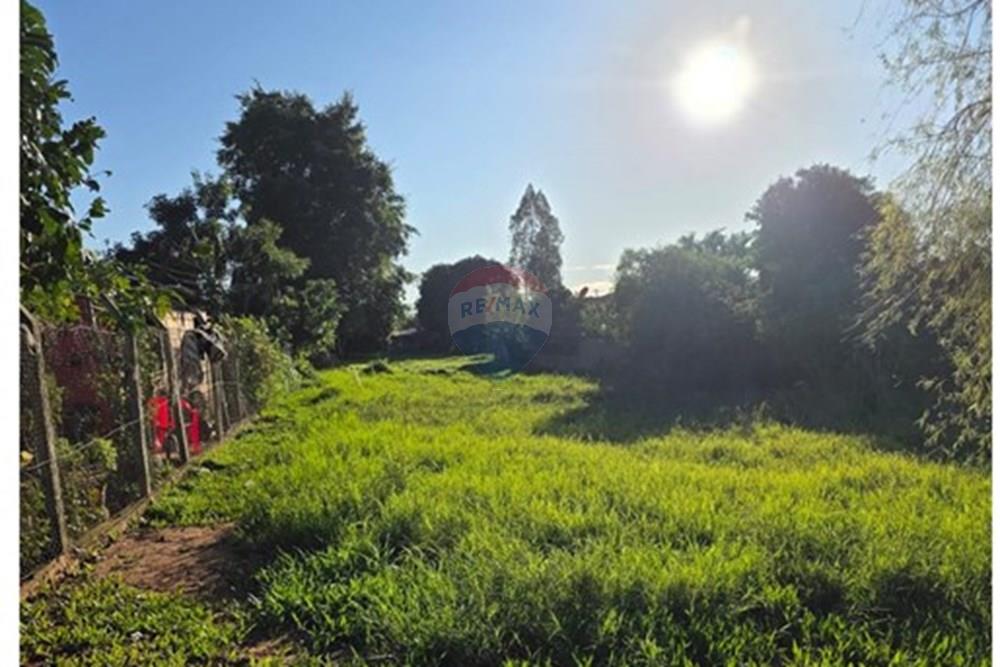 VENDO TERRENO EN CAPIATA — foto 2