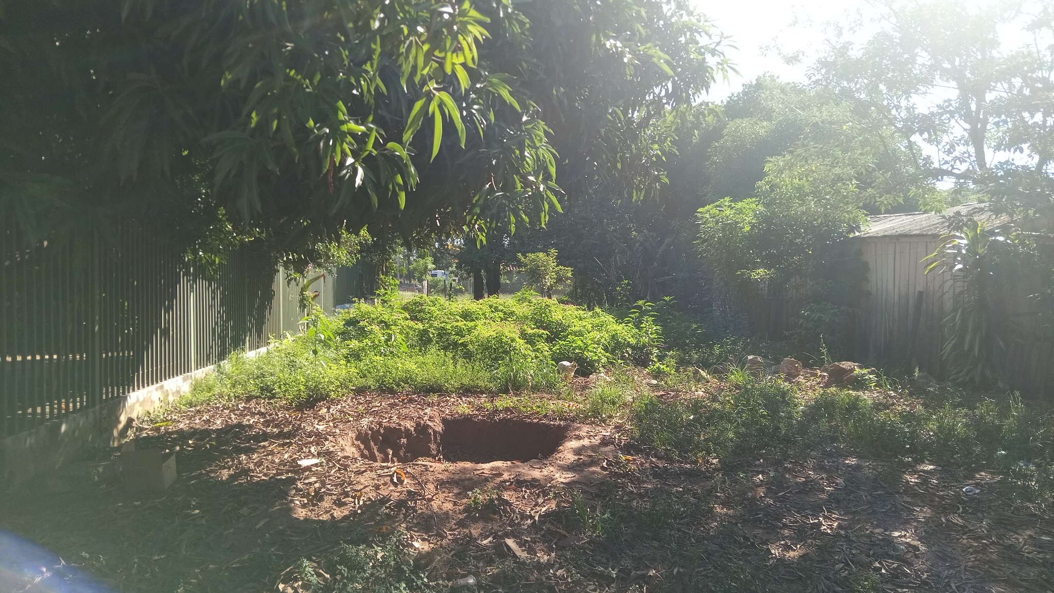 VENDO TERRENO EN CNEL OVIEDO — foto 3