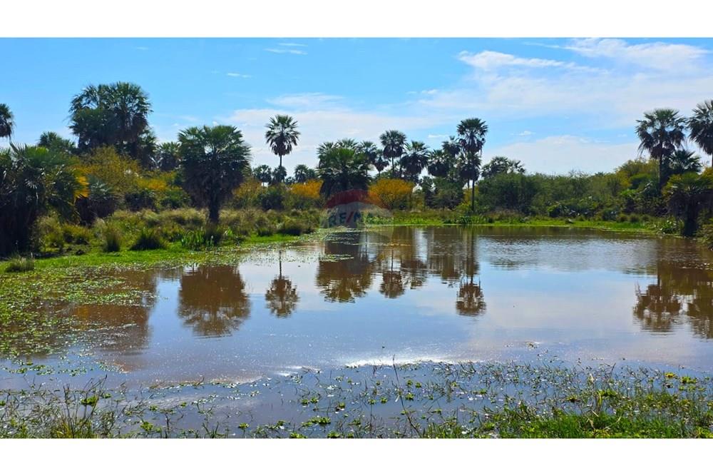 EN VENTA GRAN CAMPO EN VILLA HAYES — foto 2