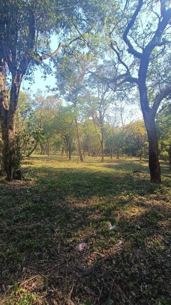 VENDO TERRENO EN SAN BERNARDINO — foto 3