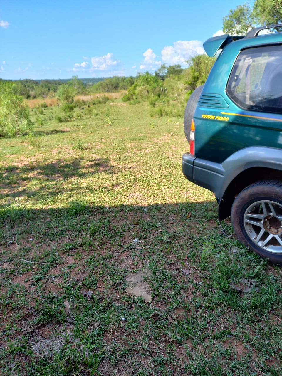 Propiedad de 46 hectáreas, Nueva Colombia, 800m del asfalto — foto 3