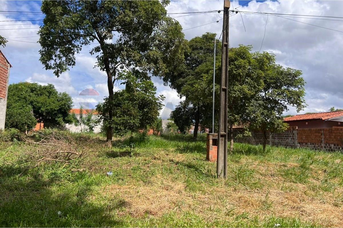 EN VENTA TERRENO EN CAPIATA BARRIO STA LUCIA — foto 3