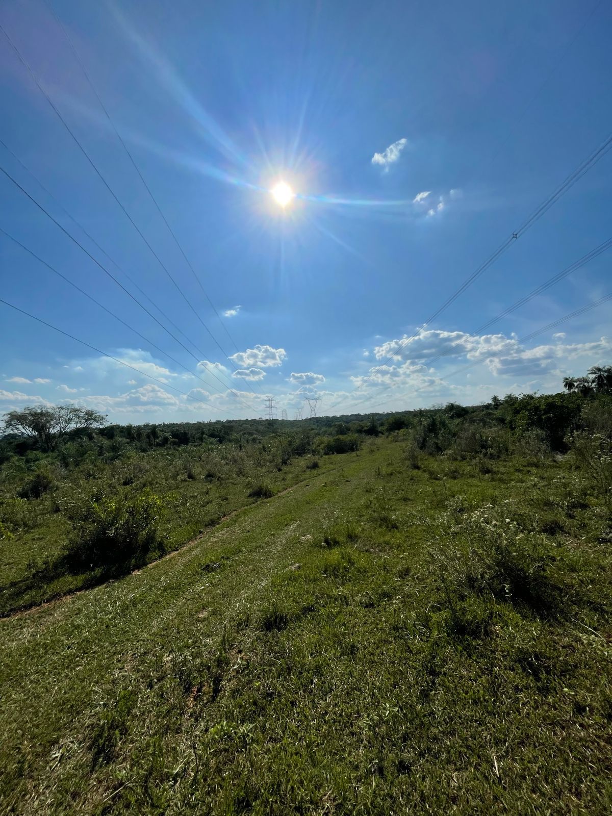 VENDO PROPIEDAD EN EMBOSCADA 20 hectáreas A 3 km de la ruta 3 — foto 3