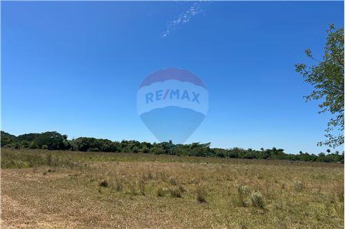 Terreno - Venta - Pirayú, Paraguarí, Paraguay — foto 3
