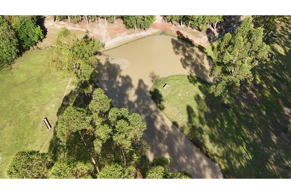 Estancia/Campo-Venta-a 2.5 km de tavapy, Tavapy, Alto Paraná — foto 3