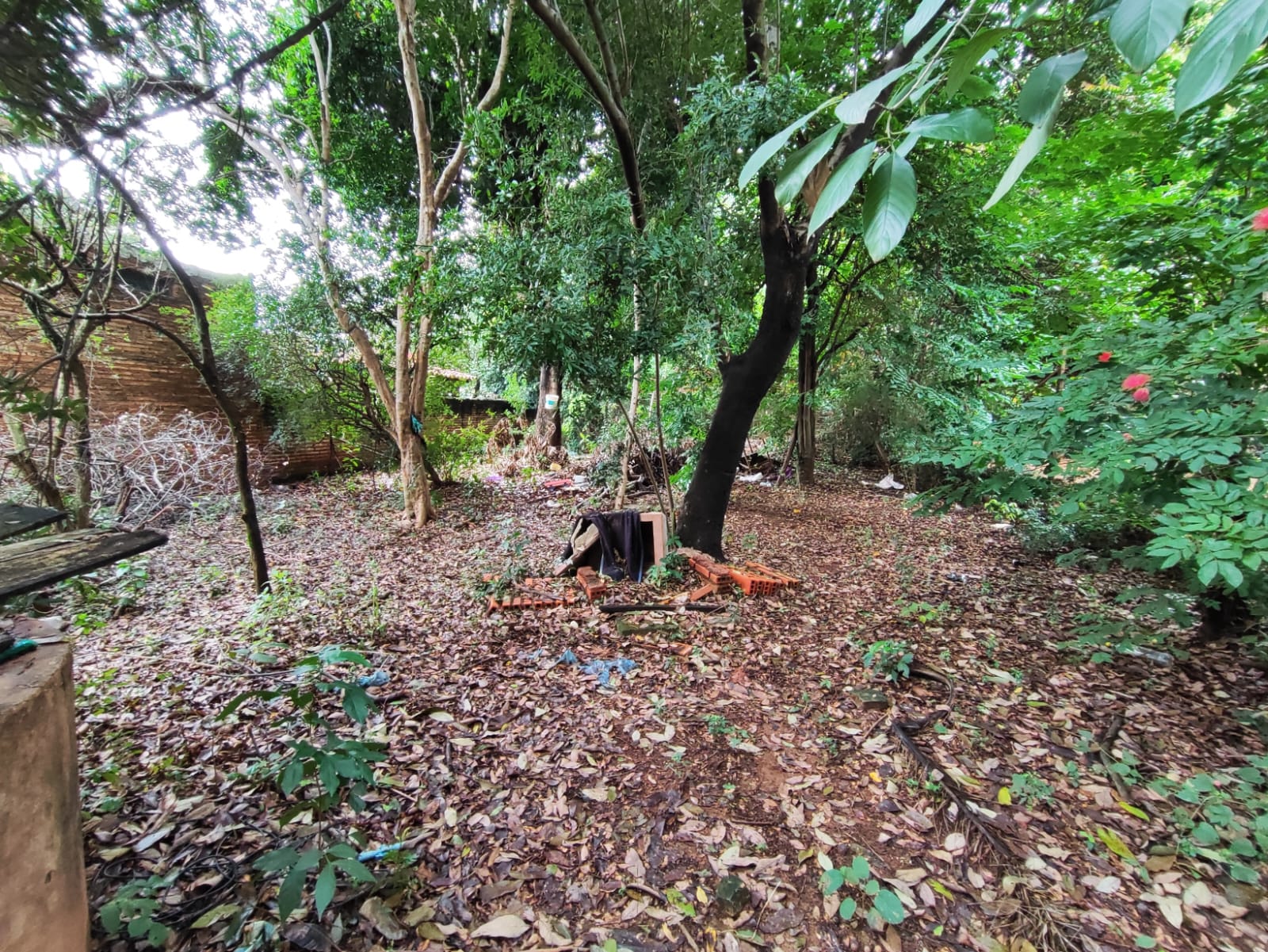 VENDO TERRENO EN CAMPO GRANDE ZONA CIT — foto 2