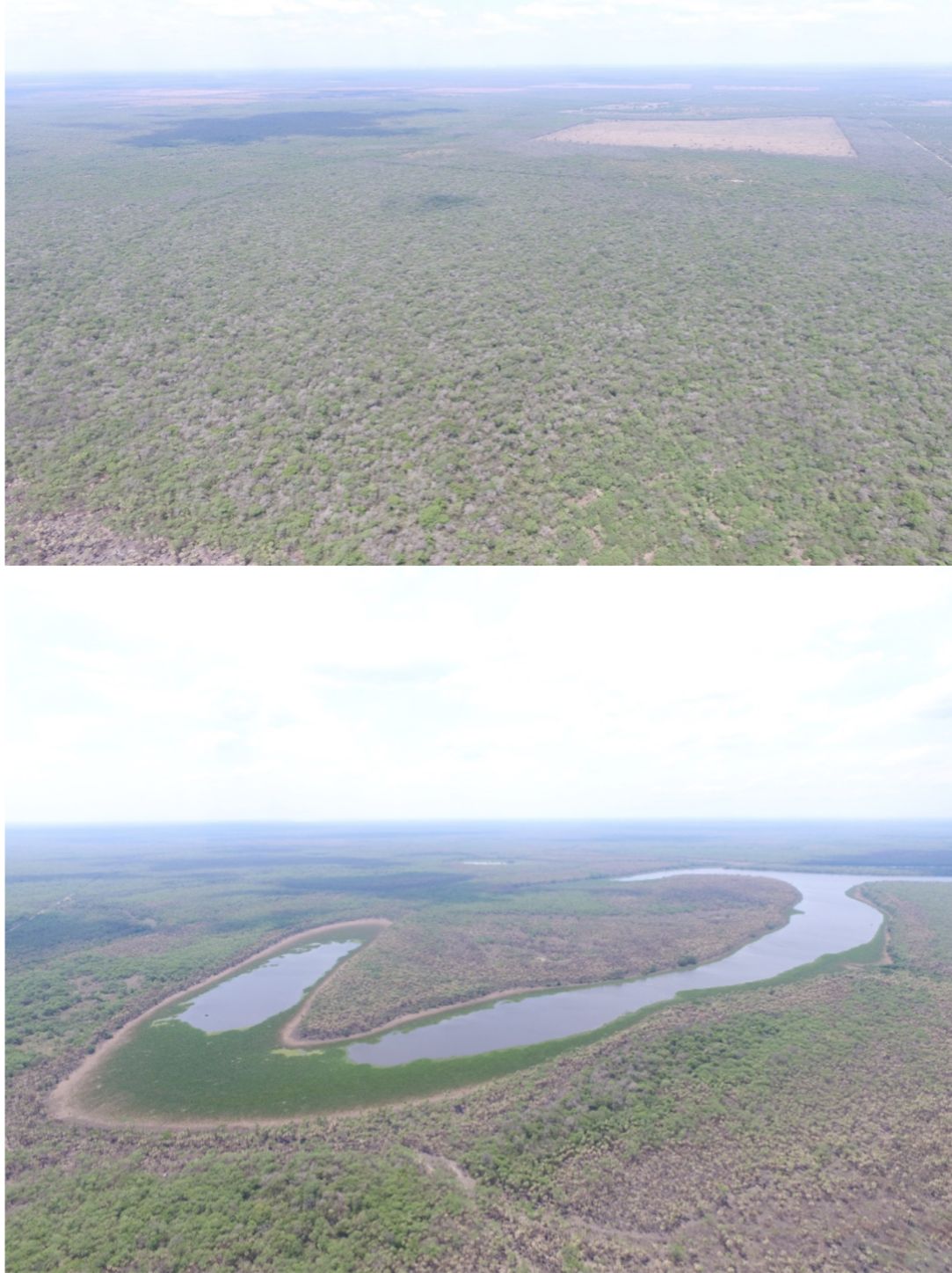 Estancia en venta – Oportunidad única en el Chaco Paraguayo — foto 2
