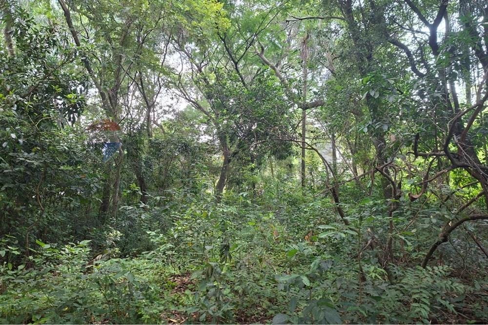 Terreno en venta en Altos — foto 3