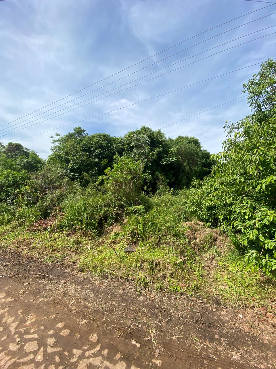 VENTA DE AMPLIO TERRENO EN SAN BERNARDINO — foto 2